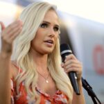 tomi lahren net worth